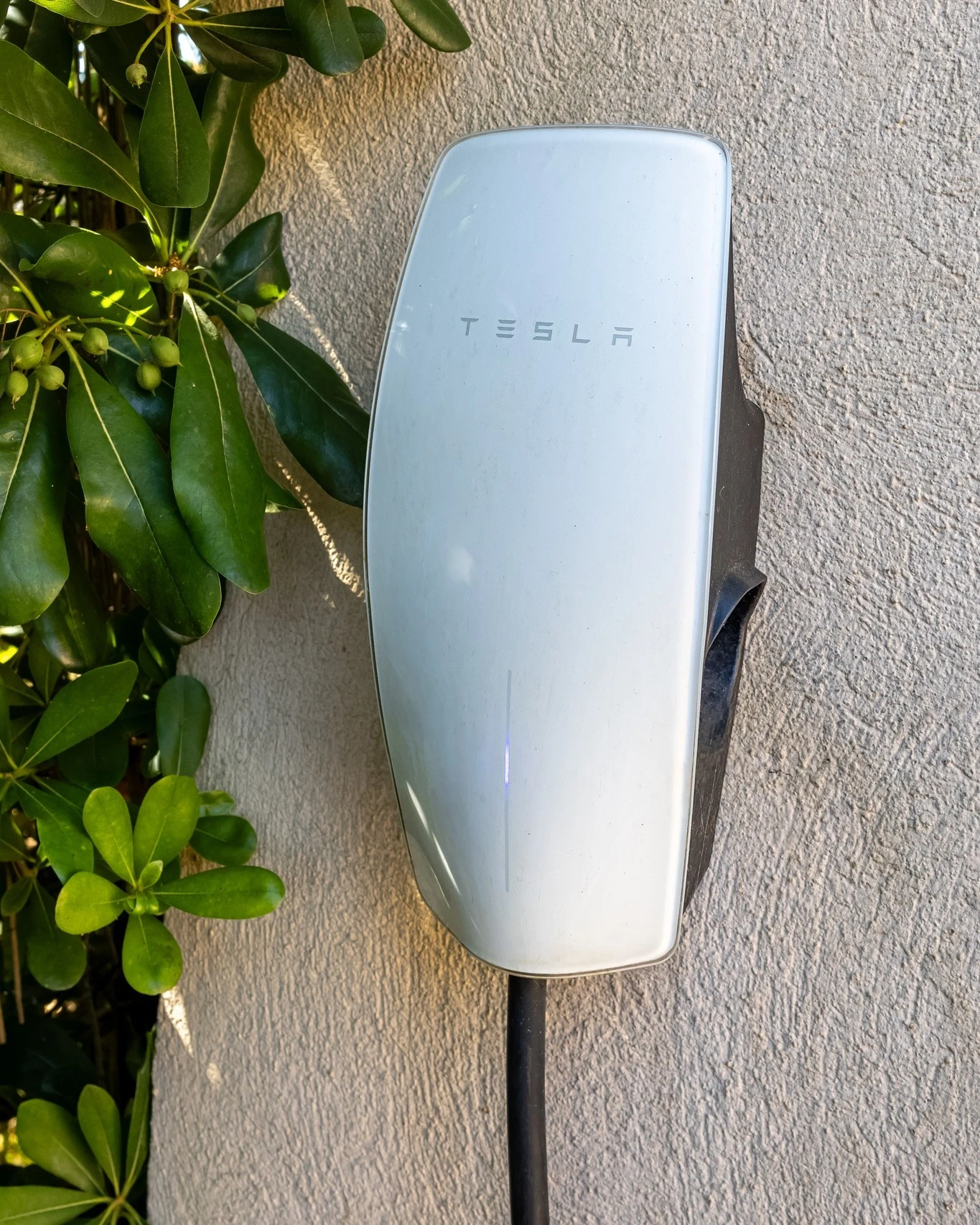 Pose de borne de recharge électrique murale pour véhicule